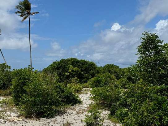 10 ac Land at Diani image 1