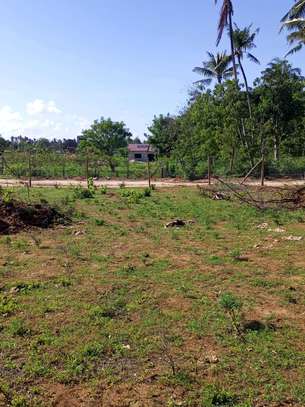 Kilifi-Tezo plots for sale 50by100@450,000 image 2