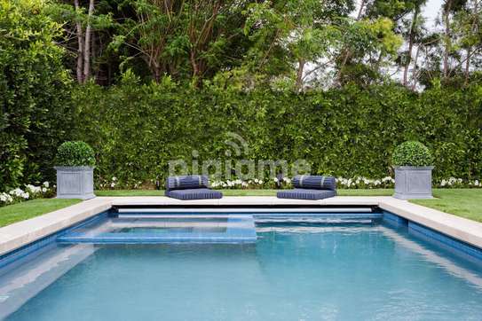 Swimming Pool Repair & Maintenance Services in Mountain View image 5