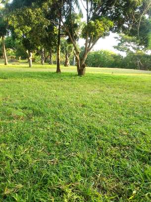 LAND FOR SALE ON THE CREEK. image 3