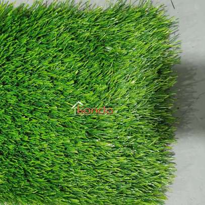 Carpet:100cm  Reception Office Carpet In Mogonga image 6