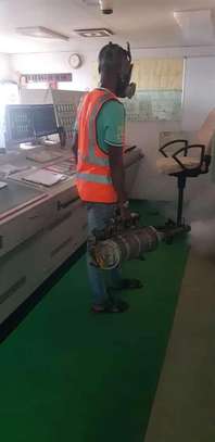 Pest Control and Fumigation Services Juja image 5