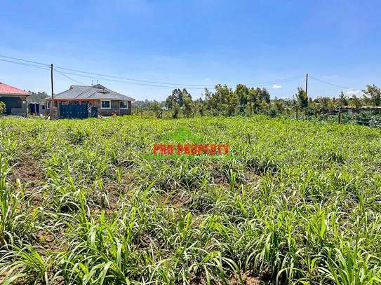 0.125 ac Residential Land at Kamangu image 20