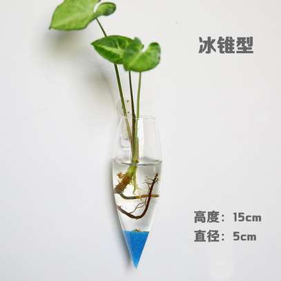Wall Mounted Hydroponic Glass Vase Plant Terrarium image 6