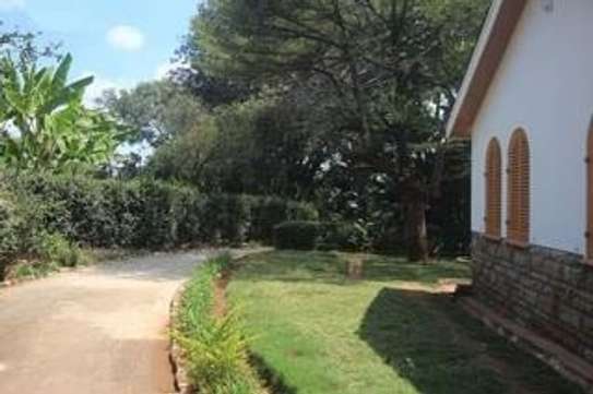 Commercial Property with Fibre Internet at James Gichuru image 8