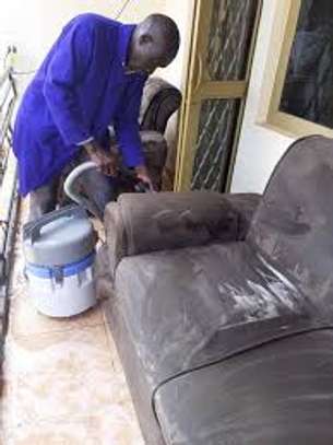 Expert Bed Bug Control - Same-Day Service. Call Now. image 1