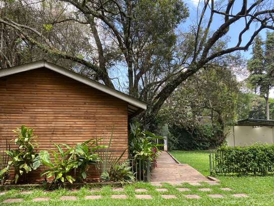 Cabin-Style Furnished Office to Let – Kilimani image 3