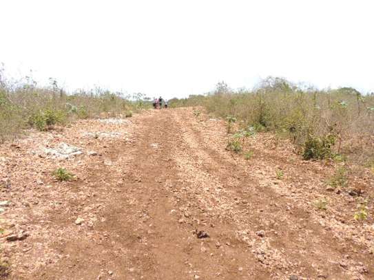 0.25 ac Residential Land at Diani Beach Road image 15