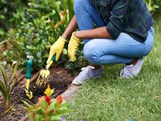 Find experienced gardeners near you image 10