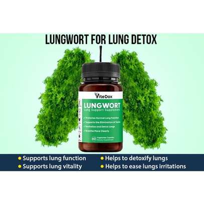 ViteDox Lungwort Revitalize And Detox Lungs image 1