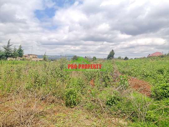 0.125 ac Residential Land at Migumoini image 3