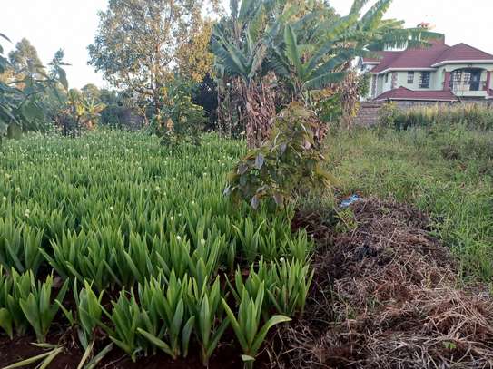 RESIDENTIAL PLOTS image 1