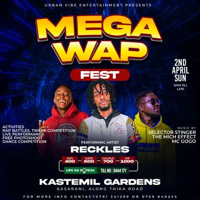 Mega Wap Fest image 1