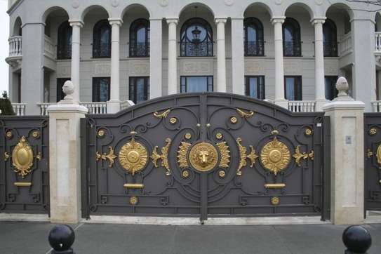 Double Gate with Gold Accents image 4
