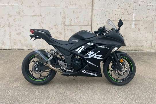 2017 Kawasaki Ninja 300 ABS image 2