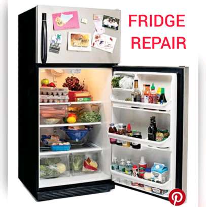 Refrigerator, Freezer Repair and Maintenance image 2