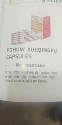 BLOOD CLEANSER image 3