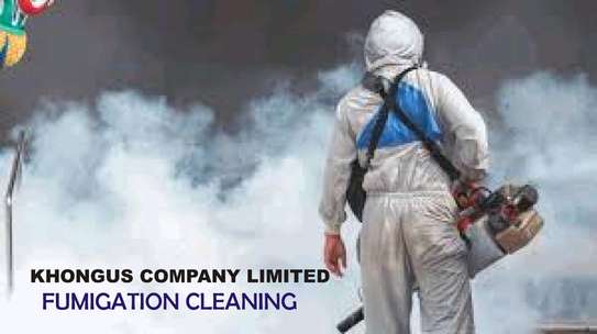 Khongus Fumigation Services image 2