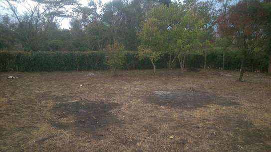 One acre land for sale image 1