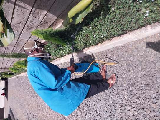 FUMIGATION solutions image 3