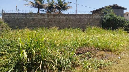 Land for sale in Rironi (50*100) image 2