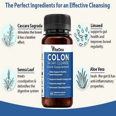 ViteDox Colon Cleanser Supplement image 1
