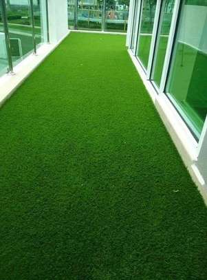 Artificial grass carpet provides a verdant deep environment image 2