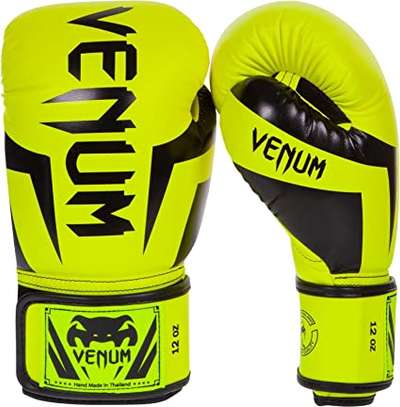 2.0 Challenger Venum Boxing Gloves image 1