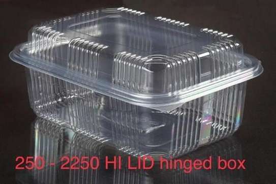 Multipurpose Disposable Food Deli Punnets Containers - 20 Pcs image 6