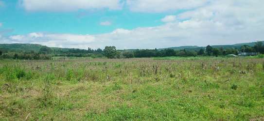 Prime land for sale in Kikuyu Nachu image 6