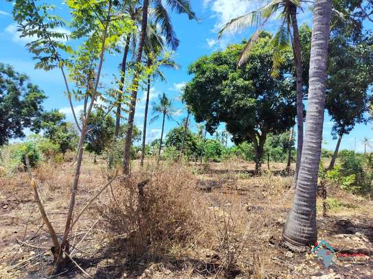 Residential Land in Malindi image 10