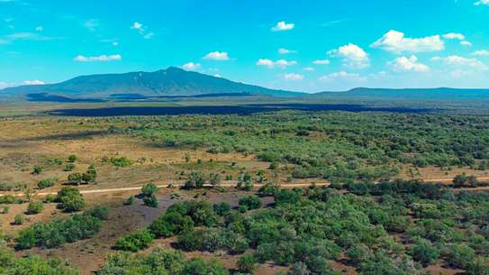 0.4 Acre Land For Sale in Naivasha , Pana Ranch image 6