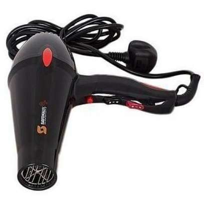 Sayona Hair Dryer( Professional & Commercial) image 1