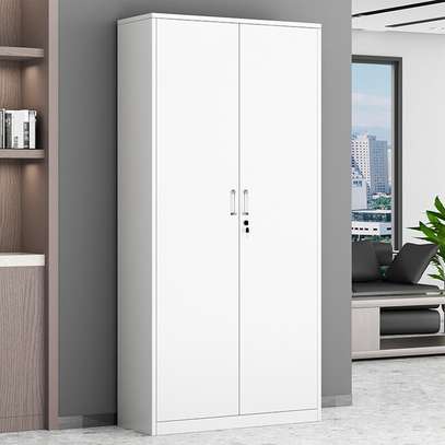 Steel Office Cabinet with Twin Vertical Doors image 2