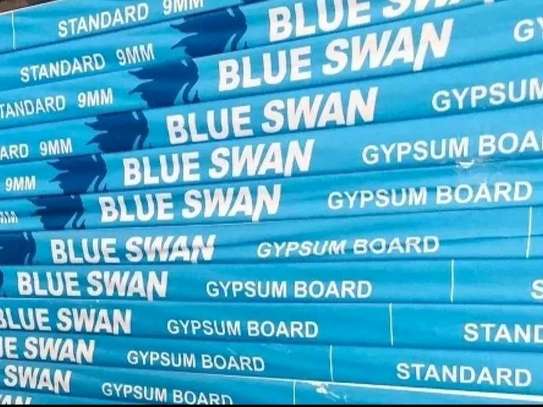 Blue Swan Gypsum board image 3