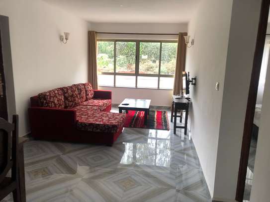 Furnished 1 Bed Apartment with En Suite in Nyari image 5