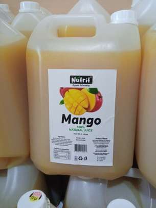Nutrit® Mango Juice*5L*Preserved Natural Juice image 2