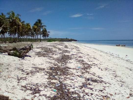 20-Acre Beach Plot For Sale in Kikambala image 4