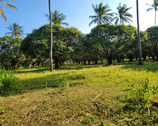 Residential Land in Nyali Area image 5