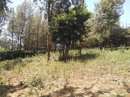 0.5 ac residential land for sale in Ngong image 5