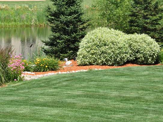 PROFESSIONAL LANDSCAPING, LAWN CARE, & MAINTENANCE SERVICES  NAIROBI.GET A FREE QUOTE TODAY. image 8