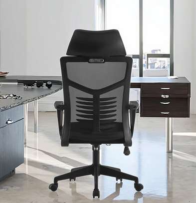Spine Mesh Back High Back Ergonomic Office Chair image 2