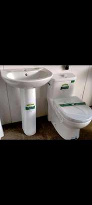 Sawa toilet image 1