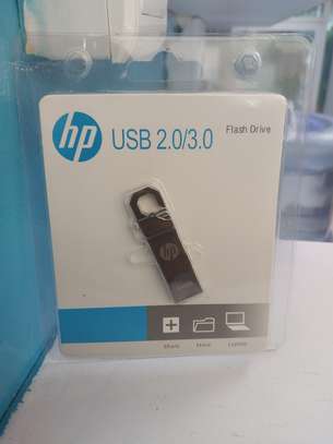 HP 64GB USB Flash Disk 2.0 image 1