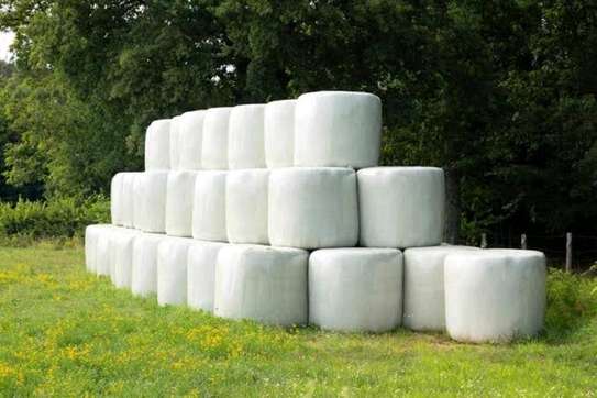Corn silage available for sale, well fermented in bales image 2