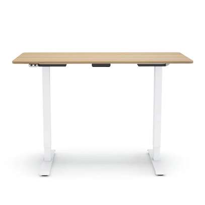 Office Desk : Single Electric Adjustable Office Desk image 2