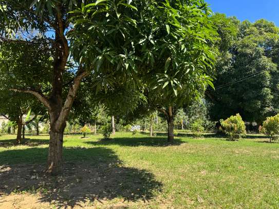 Land in Mtwapa image 20