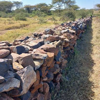 Land at Near Sgera And Olpajeta image 4