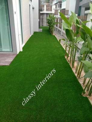 Beautiful grass carpets(;:) image 1