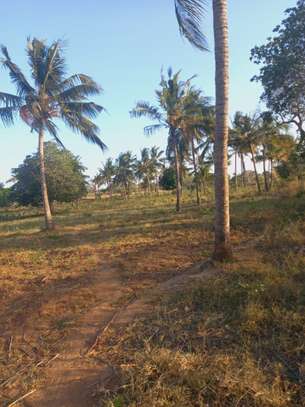 Land at Mavueni Kaloleni Road image 4